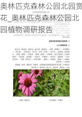 奥林匹克森林公园北园赏花_奥林匹克森林公园北园植物调研报告