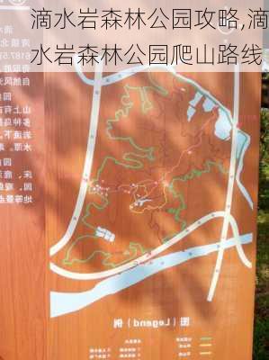 滴水岩森林公园攻略,滴水岩森林公园爬山路线