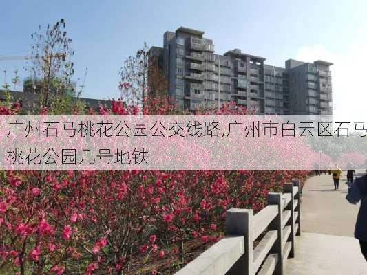 广州石马桃花公园公交线路,广州市白云区石马桃花公园几号地铁