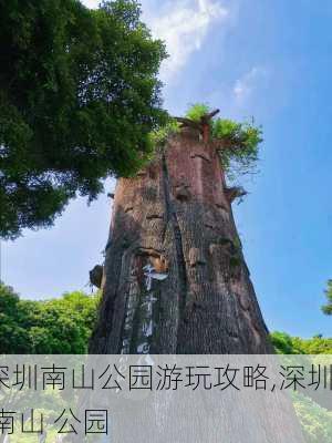 深圳南山公园游玩攻略,深圳 南山 公园