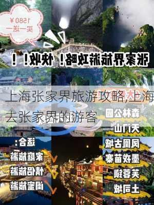 上海张家界旅游攻略,上海去张家界的游客