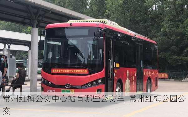 常州红梅公交中心站有哪些公交车_常州红梅公园公交