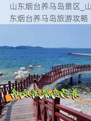 山东烟台养马岛景区_山东烟台养马岛旅游攻略