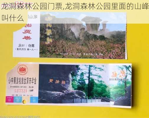 龙洞森林公园门票,龙洞森林公园里面的山峰叫什么