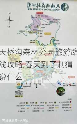 天桥沟森林公园旅游路线攻略,春天到了刺猬说什么