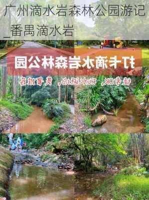 广州滴水岩森林公园游记_番禺滴水岩