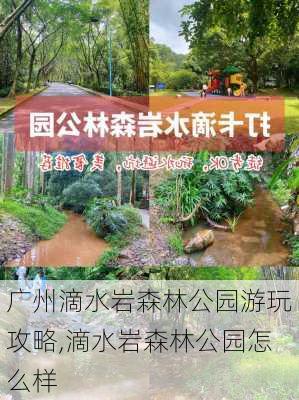 广州滴水岩森林公园游玩攻略,滴水岩森林公园怎么样