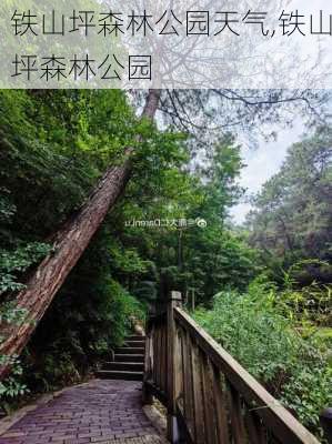 铁山坪森林公园天气,铁山坪森林公园