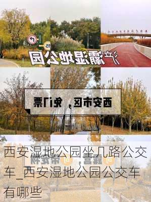 西安湿地公园坐几路公交车_西安湿地公园公交车有哪些