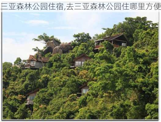 三亚森林公园住宿,去三亚森林公园住哪里方便