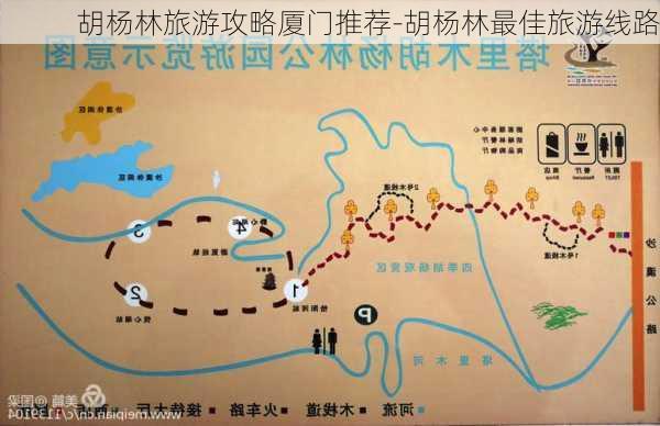 胡杨林旅游攻略厦门推荐-胡杨林最佳旅游线路