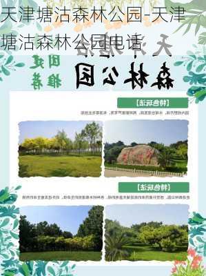 天津塘沽森林公园-天津塘沽森林公园电话