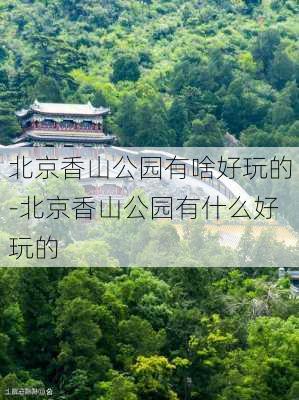 北京香山公园有啥好玩的-北京香山公园有什么好玩的