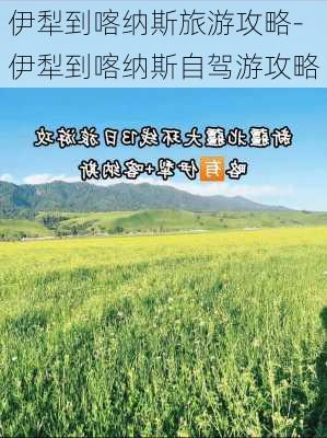 伊犁到喀纳斯旅游攻略-伊犁到喀纳斯自驾游攻略