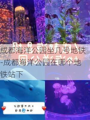 成都海洋公园坐几号地铁-成都海洋公园在哪个地铁站下