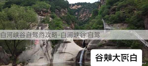 白河峡谷自驾游攻略-白河峡谷 自驾