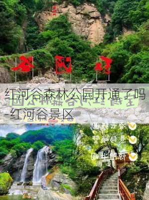 红河谷森林公园开通了吗-红河谷景区