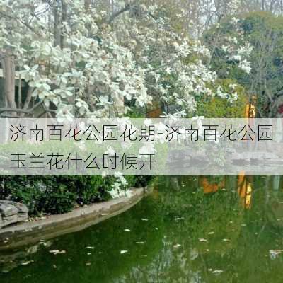 济南百花公园花期-济南百花公园玉兰花什么时候开