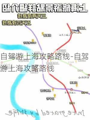 自驾游上海攻略路线-自驾游上海攻略路线