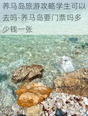 养马岛旅游攻略学生可以去吗-养马岛要门票吗多少钱一张