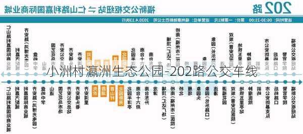 小洲村瀛洲生态公园-202路公交车线