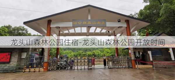 龙头山森林公园住宿-龙头山森林公园开放时间