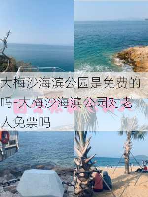 大梅沙海滨公园是免费的吗-大梅沙海滨公园对老人免票吗