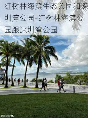 红树林海滨生态公园和深圳湾公园-红树林海滨公园跟深圳湾公园