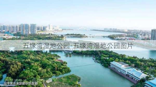 五缘湾湿地公园-五缘湾湿地公园图片