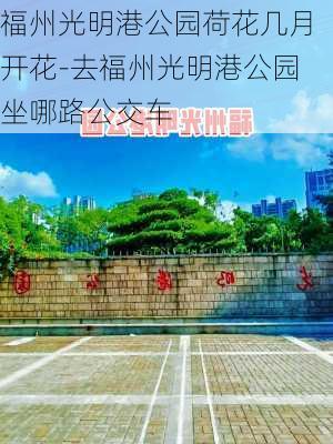 福州光明港公园荷花几月开花-去福州光明港公园坐哪路公交车