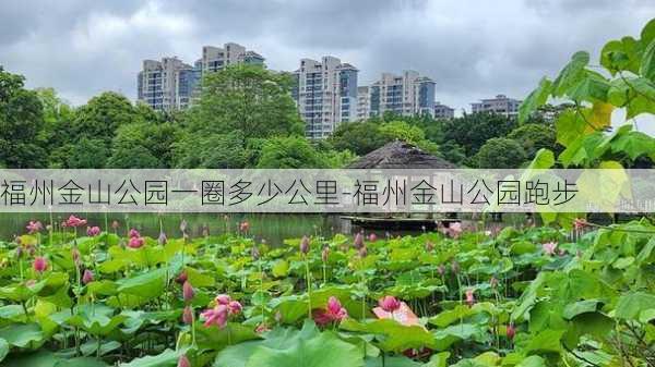 福州金山公园一圈多少公里-福州金山公园跑步