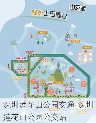 深圳莲花山公园交通-深圳莲花山公园公交站