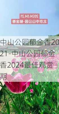 中山公园郁金香2021-中山公园郁金香2024最佳观赏期