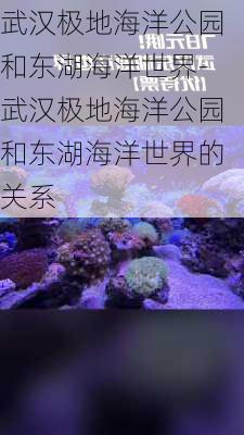 武汉极地海洋公园和东湖海洋世界-武汉极地海洋公园和东湖海洋世界的关系