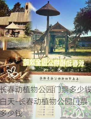 长春动植物公园门票多少钱白天-长春动植物公园门票多少钱