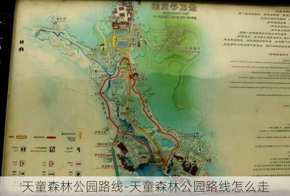 天童森林公园路线-天童森林公园路线怎么走