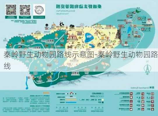 秦岭野生动物园路线示意图-秦岭野生动物园路线