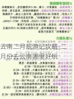 云南二月底游记攻略-二月份去云南哪里好玩