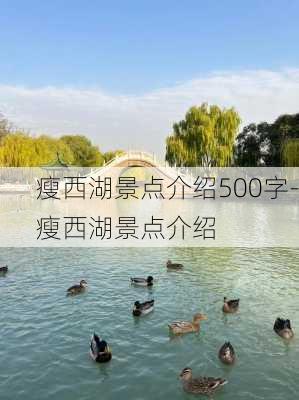 瘦西湖景点介绍500字-瘦西湖景点介绍