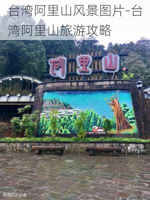 台湾阿里山风景图片-台湾阿里山旅游攻略