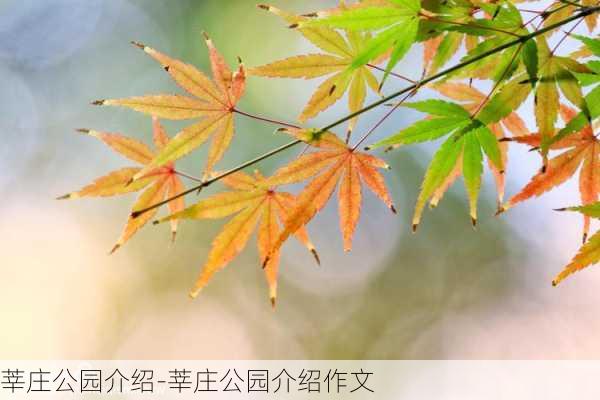 莘庄公园介绍-莘庄公园介绍作文