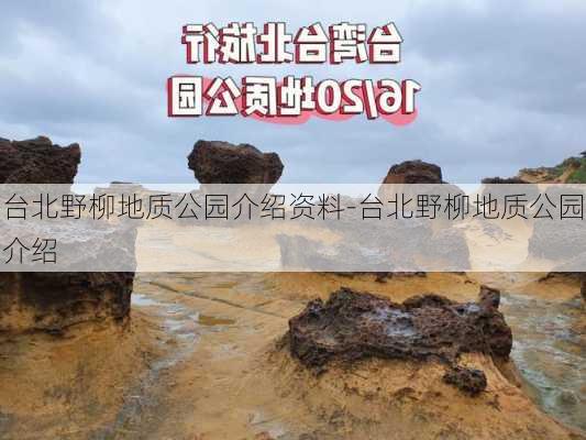 台北野柳地质公园介绍资料-台北野柳地质公园介绍