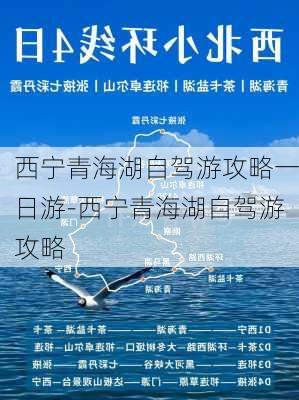 西宁青海湖自驾游攻略一日游-西宁青海湖自驾游攻略